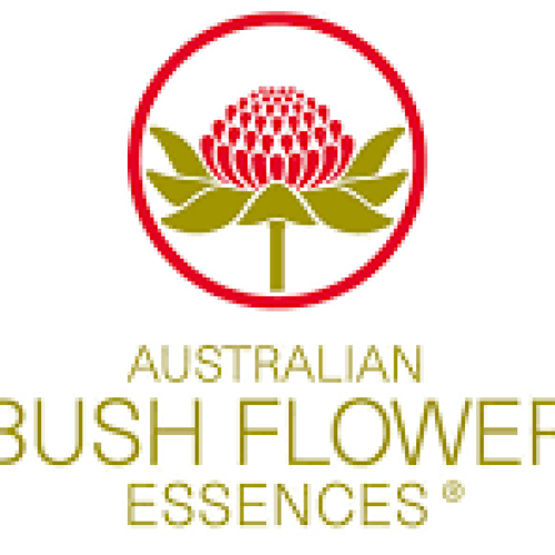 BUSH FLOWERS